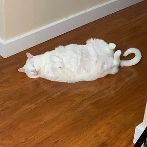 Meet your Posher, Janelle